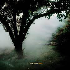 Owen - At Home With Owen in the group VINYL / Pop at Bengans Skivbutik AB (3437506)
