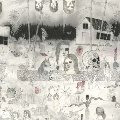 Sudakistan - Swedish Cobra in the group VINYL / Pop-Rock at Bengans Skivbutik AB (3439531)