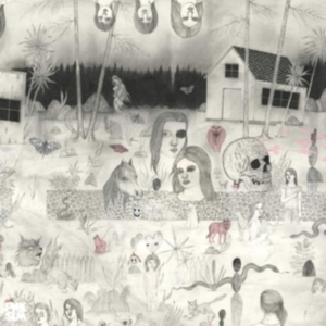 Sudakistan - Swedish Cobra in the group VINYL / Pop-Rock at Bengans Skivbutik AB (3439531)