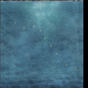 Swings - Sugarwater in the group OTHER / Övrigt /  at Bengans Skivbutik AB (3460733)