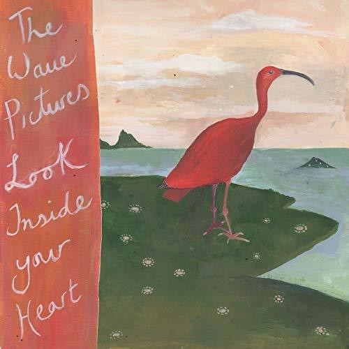 Wave Pictures - Look Inside Your Heart in the group VINYL / Rock at Bengans Skivbutik AB (3460777)