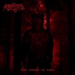 My Regime - Peek Through The Pines in the group CD / Hårdrock/ Heavy metal at Bengans Skivbutik AB (3462932)