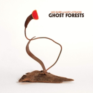 Baird Meg & Mary Lattimore - Ghost Forest in the group OTHER / Övrigt /  at Bengans Skivbutik AB (3463459)