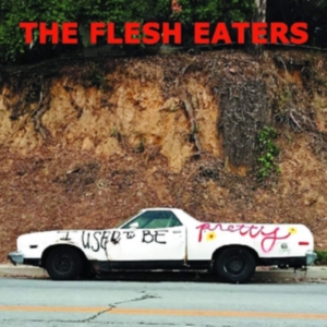 Flesh Eaters - I Used To Be Pretty in the group VINYL / Rock at Bengans Skivbutik AB (3464531)