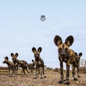 Balthazar - Fever in the group OTHER / Övrigt /  at Bengans Skivbutik AB (3472352)