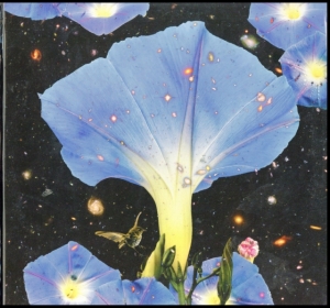 Louise Sarah - Nighttime Birds And Morning Stars in the group VINYL / Pop-Rock,World Music at Bengans Skivbutik AB (3476066)