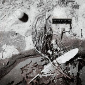 David Sylvian - Secrets Of The Beehive (Vinyl) in the group VINYL / Pop-Rock at Bengans Skivbutik AB (3489421)