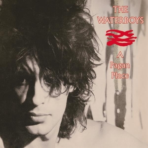 The Waterboys - A Pagan Place in the group OTHER / CRM - Irish Pop-Rock at Bengans Skivbutik AB (3489862)