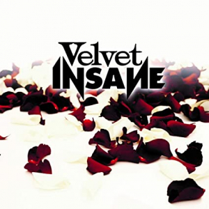 Velvet Insane - Velvet Insane in the group CD / New releases / Hardrock/ Heavy metal at Bengans Skivbutik AB (3495391)