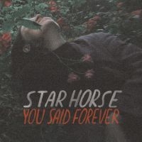 STAR HORSE - YOU SAID FOREVER in the group OUR PICKS / Weekly Releases /  / POP /  ROCK at Bengans Skivbutik AB (3495817)
