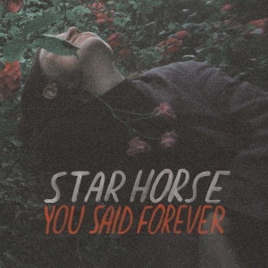 Star Horse - You Said Forever in the group VINYL / Pop-Rock at Bengans Skivbutik AB (3495817)