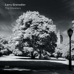 Grenadier Larry - The Gleaners in the group CD / Jazz at Bengans Skivbutik AB (3496589)