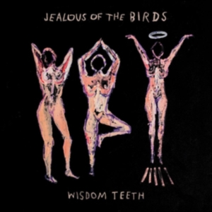 Jealous Of The Birds - Wisdom Teeth in the group CD / Rock at Bengans Skivbutik AB (3498257)