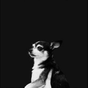 And The Kids - When This Life Is Over in the group CD / Pop-Rock at Bengans Skivbutik AB (3503943)