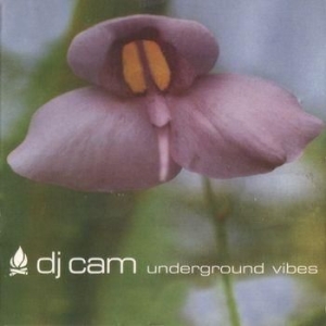 Dj Cam - Underground Vibes in the group VINYL / Dans/Techno at Bengans Skivbutik AB (3505432)