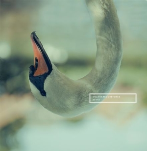 Coldharbourstores - Vesta in the group VINYL / Rock at Bengans Skivbutik AB (3505457)