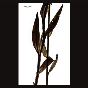 Ratkje Maja - Sult in the group VINYL / Pop-Rock at Bengans Skivbutik AB (3505489)