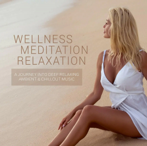 Blandade Artister - Wellness - Meditation - Relaxation in the group OUR PICKS / Weekly Releases / Week 12 / CD Week 12 / POP /  ROCK at Bengans Skivbutik AB (3511833)