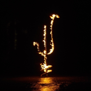 Demon Head - Hellfire Ocean Void in the group OTHER / Övrigt /  at Bengans Skivbutik AB (3519926)