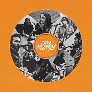 Drugdealer - Raw Honey in the group OUR PICKS / Album Of The Year 2019 / Årsbästa 2019 Gaffa at Bengans Skivbutik AB (3519969)