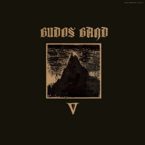 Budos Band - V in the group VINYL / World Music at Bengans Skivbutik AB (3519996)