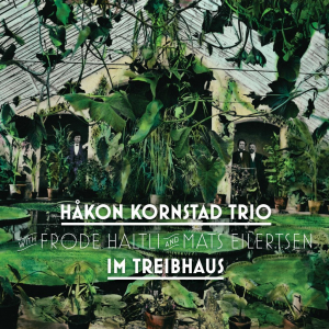 Kornstad Håkon (Trio) - Im Treibhaus in the group OUR PICKS / Weekly Releases /  / Jazz / Blues at Bengans Skivbutik AB (3522484)