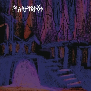 Martyrdöd - Hexhammaren in the group VINYL / Hårdrock,Punk at Bengans Skivbutik AB (3532435)