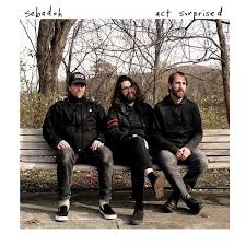 Sebadoh - Act Surprised (Col.Vinyl) in the group OUR PICKS / Blowout / Blowout-LP at Bengans Skivbutik AB (3533088)