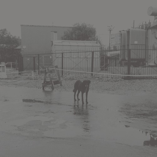 Nivhek - After Its Own Death/Walking in the group OTHER / Övrigt / at Bengans Skivbutik AB (3542430)