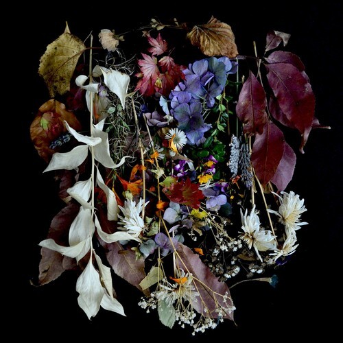 Paws - Your Church On My Bonfire in the group VINYL / Bestsellers at Bengans Skivbutik AB (3544997)