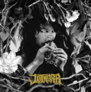 Jotnarr - Jotnarr in the group VINYL / Pop-Rock at Bengans Skivbutik AB (3545212)