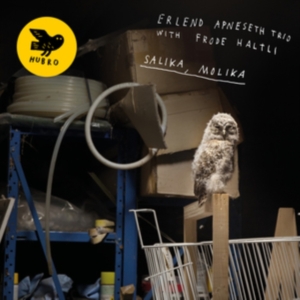 Apneseth Erlend (Trio) - Salika, Molika in the group VINYL / Pop-Rock at Bengans Skivbutik AB (3553443)