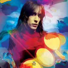 Todd Rundgren - The Complete U.S. Bearsville & Warner Br in the group VINYL at Bengans Skivbutik AB (3555965)