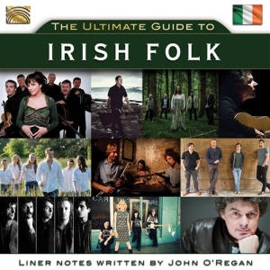 Various Artists - Irish Folk in the group CD / Elektroniskt,World Music at Bengans Skivbutik AB (3556772)