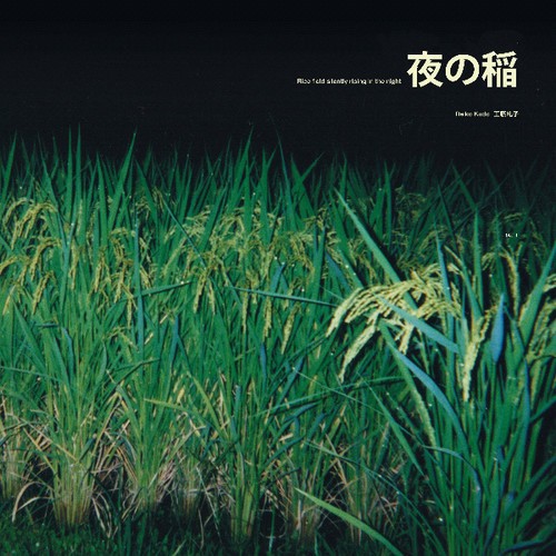 Kudo Reiko - Rice Field Silently Riping In The N in the group OTHER / Övrigt / at Bengans Skivbutik AB (3565455)
