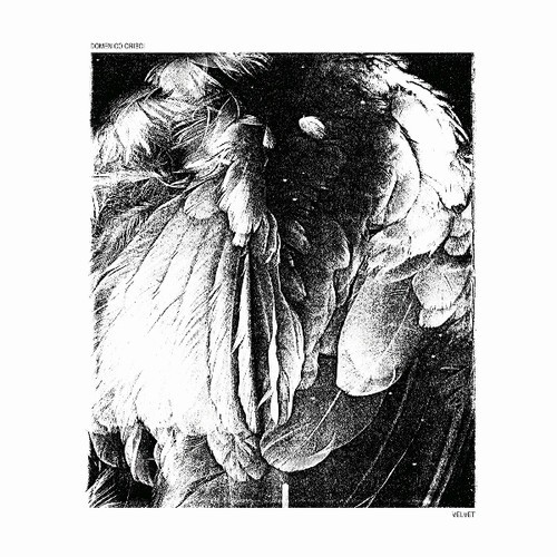 Crisci Domenico - Velvet in the group VINYL / Pop at Bengans Skivbutik AB (3565526)