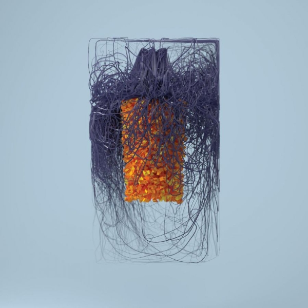 Plaid - Polymer in the group CD / Bestsellers at Bengans Skivbutik AB (3597237)