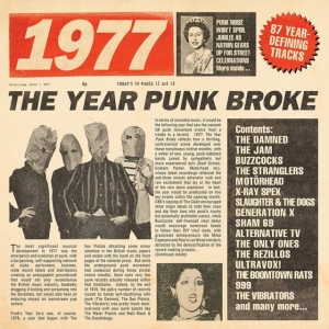 Blandade Artister - 1977 - The Year Punk Broke in the group OTHER / Övrigt /  at Bengans Skivbutik AB (3597257)