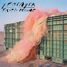 Yeasayer - Erotic Reruns in the group VINYL / Rock at Bengans Skivbutik AB (3599399)