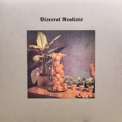 Russell Bruce & Luke Wood - Visceral Realists in the group VINYL / Rock at Bengans Skivbutik AB (3599425)