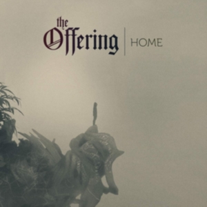 Offering The - Home in the group CD / Hårdrock at Bengans Skivbutik AB (3637089)