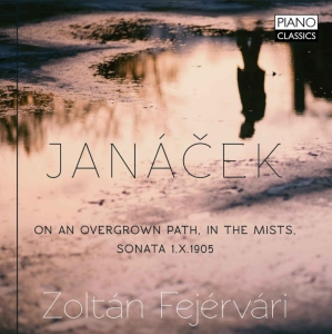 Janácek Leos - On An Overgrown Path In The Mists in the group CD / Klassiskt at Bengans Skivbutik AB (3637102)