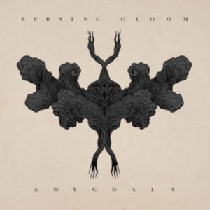 Burning Gloom - Amygdala in the group OTHER / Övrigt /  at Bengans Skivbutik AB (3639299)