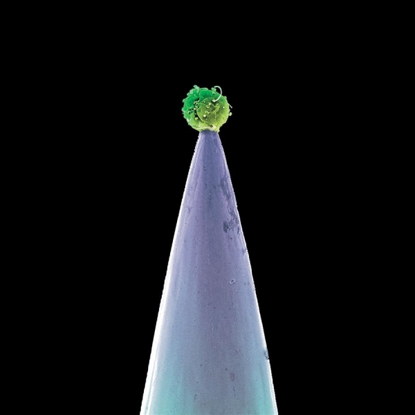 Peter Gabriel - New Blood in the group CD / Bestsellers at Bengans Skivbutik AB (3639630)