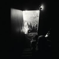 Metz - Automat in the group VINYL / Pop-Rock at Bengans Skivbutik AB (3642161)