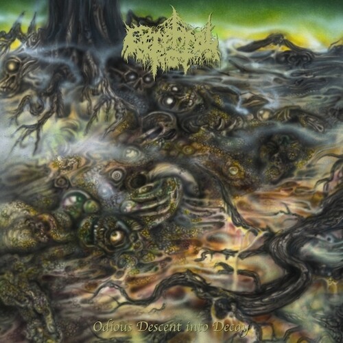 Cerebral Rot - Odious Descent Into Decay in the group CD / Rock at Bengans Skivbutik AB (3644194)