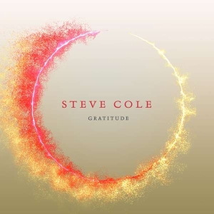 Cole Steve - Gratitude in the group OTHER / Övrigt /  at Bengans Skivbutik AB (3645238)