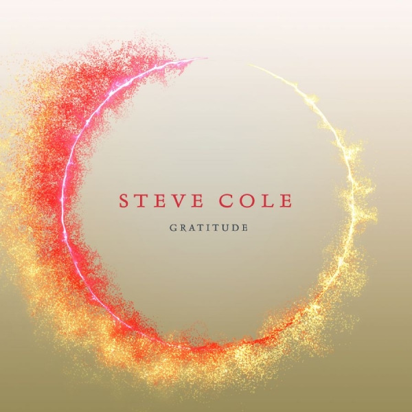 Cole Steve - Gratitude in the group OTHER / Övrigt /  at Bengans Skivbutik AB (3645238)