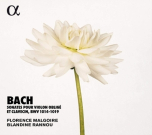 Bach J S - Sonatas For Violin And Harpsichord, in the group Externt_Lager /  at Bengans Skivbutik AB (3651144)