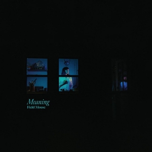 Field Mouse - Meaning in the group CD / Pop-Rock at Bengans Skivbutik AB (3653997)